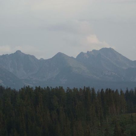 Pokoje Goscinne Bukowina Tatrzańska Exterior foto