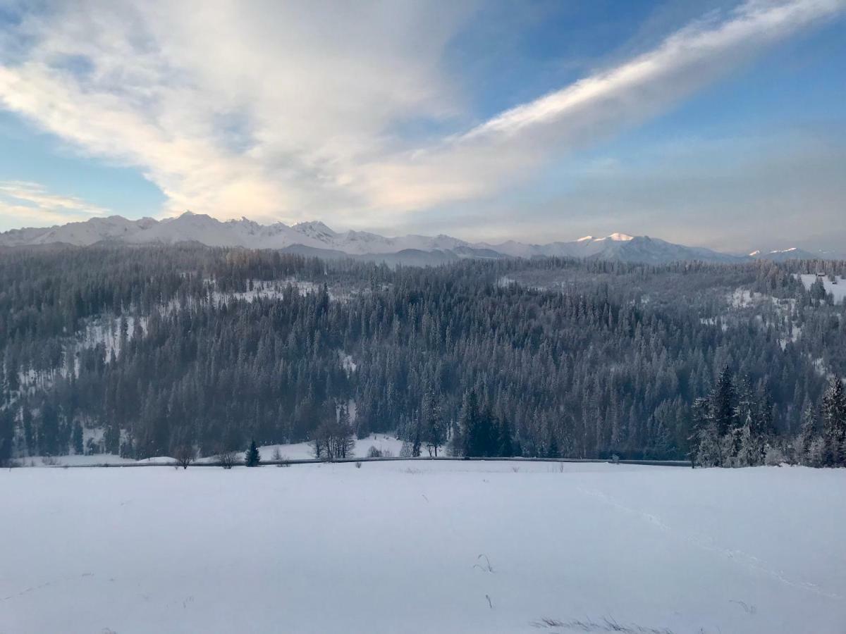 Pokoje Goscinne Bukowina Tatrzańska Exterior foto