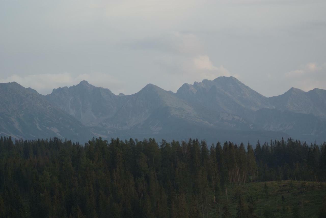 Pokoje Goscinne Bukowina Tatrzańska Exterior foto
